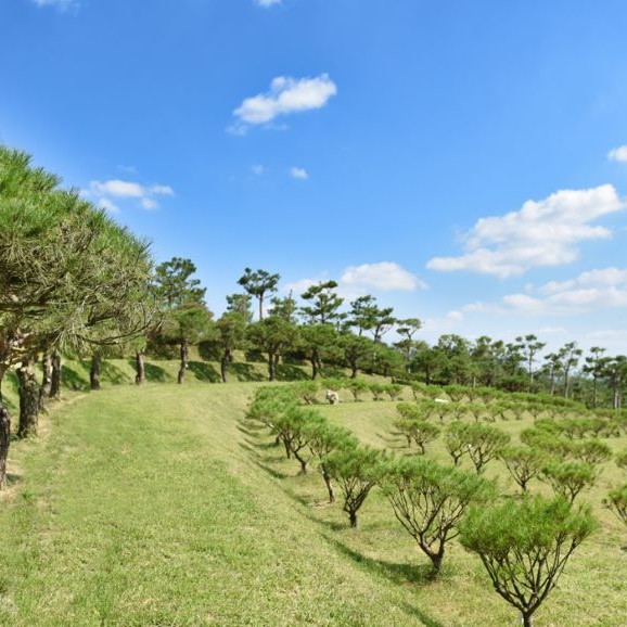 [안성] 유토피아추모관