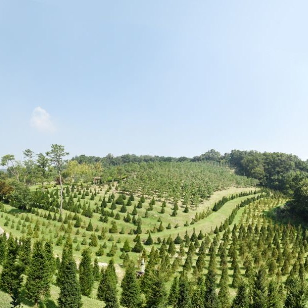 [안성] 유토피아추모관