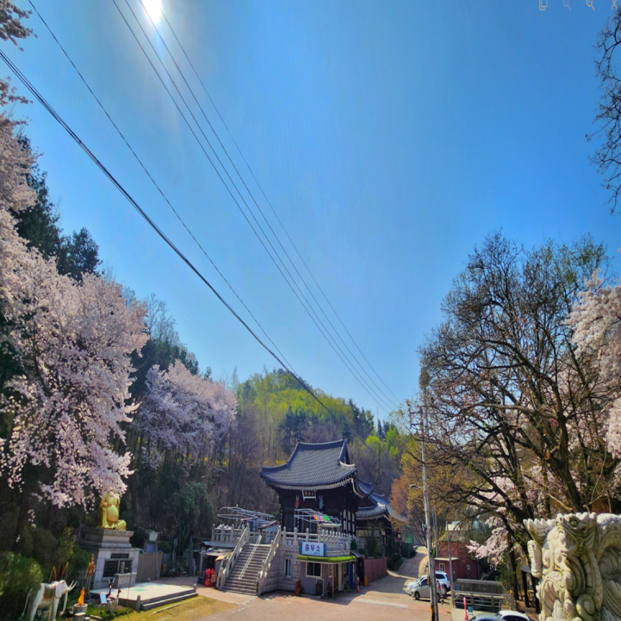 [서울] 정각사 봉안당
