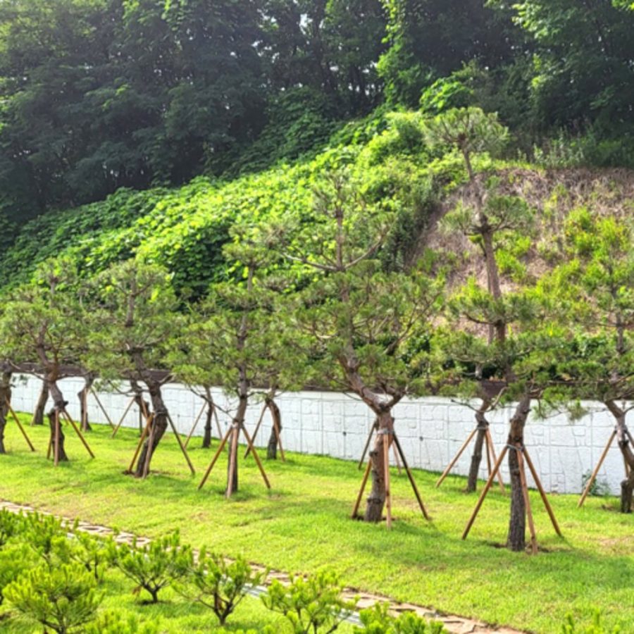 [경기광주] 남서울가족공원