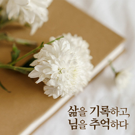 [성남 판교] 봉안당 홈